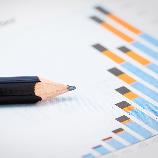 Business Growth Performance